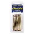 Squeek No More Floor Squeak Repair Screw 1011345